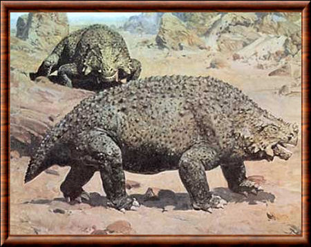 Cotylosauriens