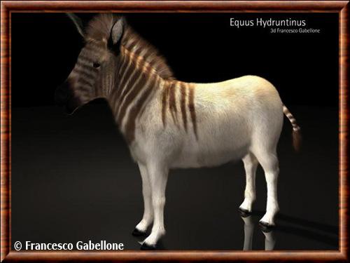 Equus hydruntinus