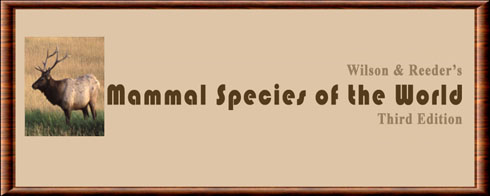 Mammal Species of the World (MSW)