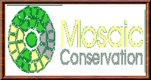 Mosaic Conservation