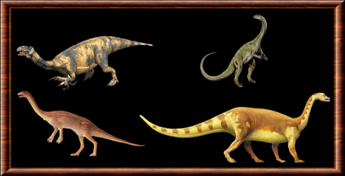 Prosauropoda