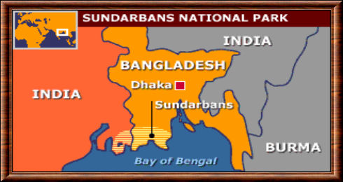 Sundarbans carte