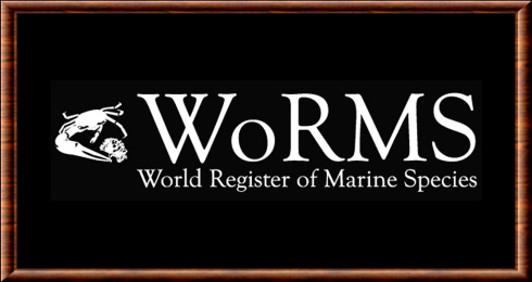 World Register of Marine Species (WoRMS)