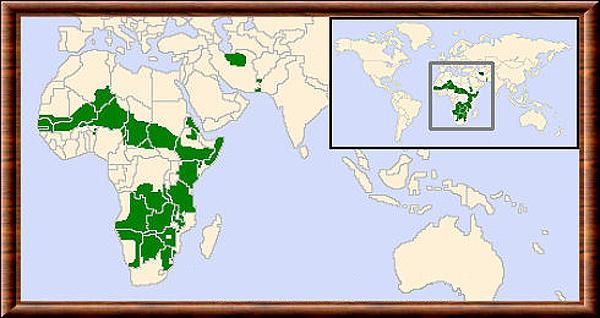 Acinonyx jubatus repartition