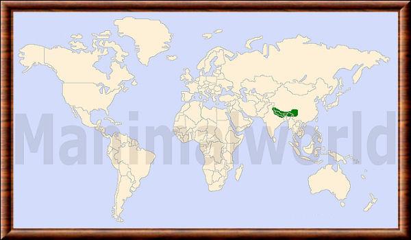 Ailurus fulgens repartition