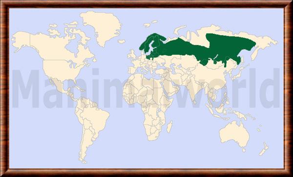 Alces alces carte repartition