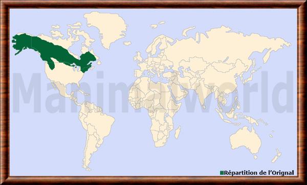 Alces americanus carte de repartition