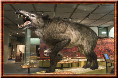 Andrewsarchus mongoliensis