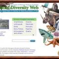 Animaldiversityweb