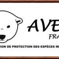 Avesfrance