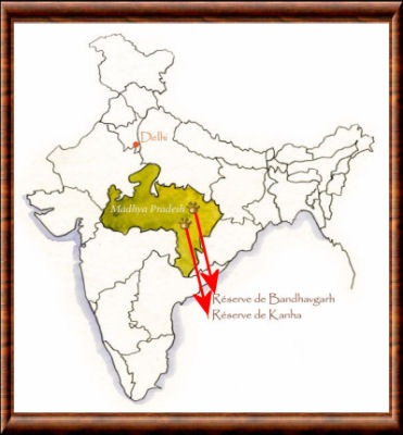 Bandhavgarh National Park India Map