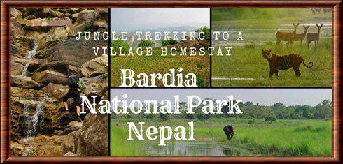 Bardia national park