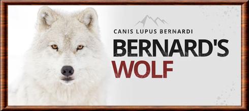 Bernard's Wolf