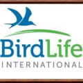 Birdlifinternational
