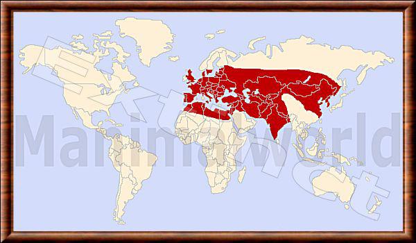 Bos primigenius répartition