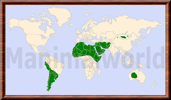 Camelidae repartition