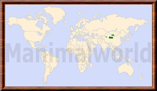 Camelus bactrianus repartition