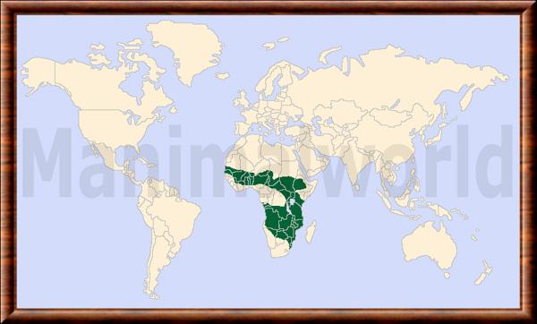 Canis adustus repartition