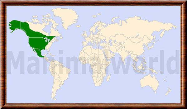 Canis latrans repartition