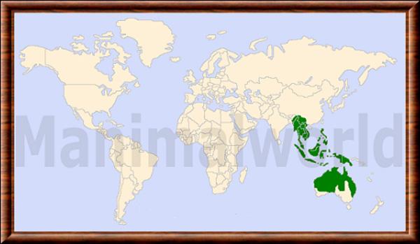 Canis lupus dingo repartition