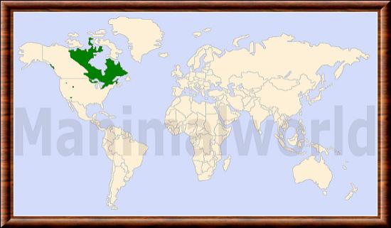 Canis lupus nubilus repartition