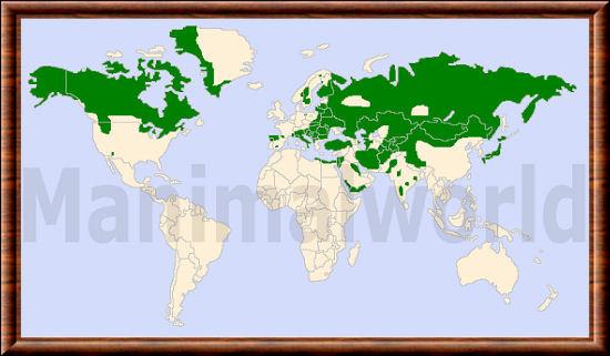 Canis lupus répartition