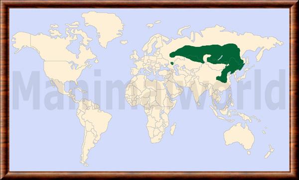 Capreolus pygargus carte repartition