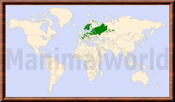 Castor d europe repartition