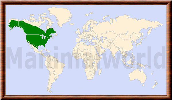 Castor du canada repartition