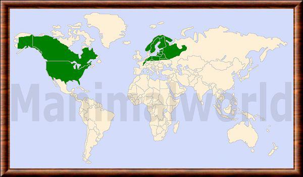 Castoridae repartition