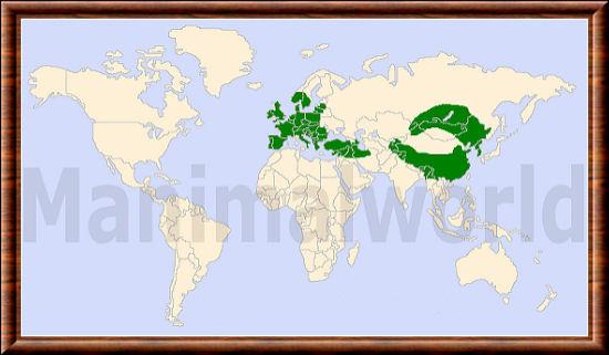 Cervus elaphus carte repartition