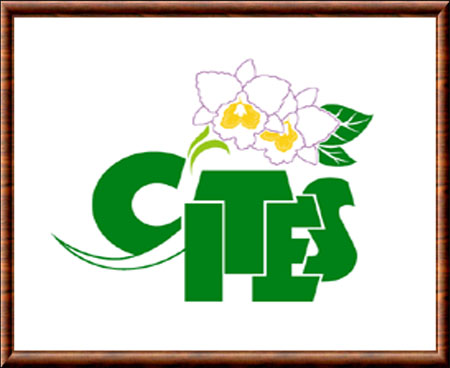 Logo de la CITES