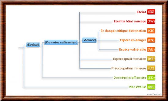 Classification IUCN