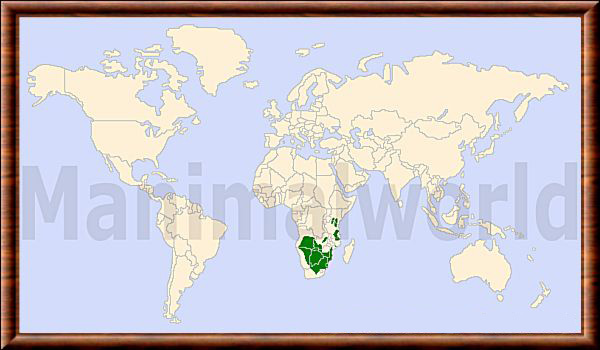 Carte de répartition du gnou bleu Connochaetes taurinus 01