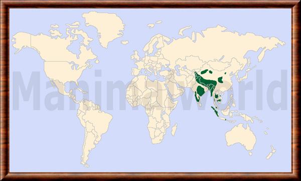 Cuon alpinus repartition