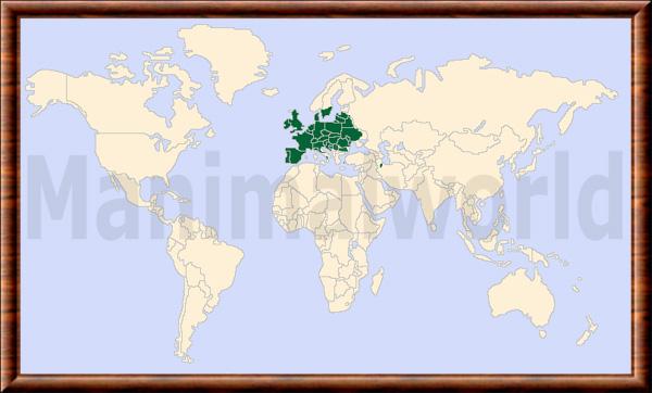 Dama dama carte repartition