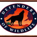 Defenderofwildlife