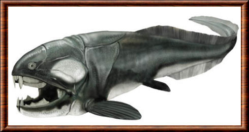 Dunkleosteus