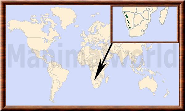 Equus hartmannae carte de repartition