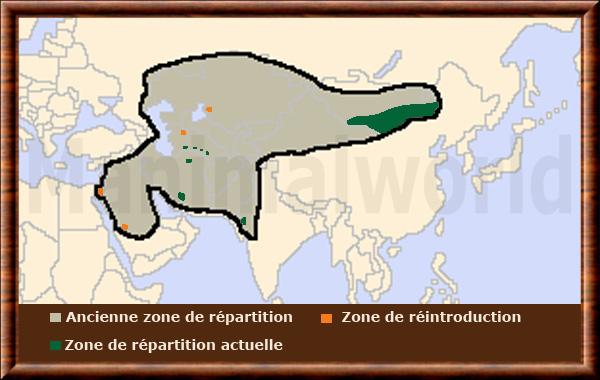 Equus hemionus distribution