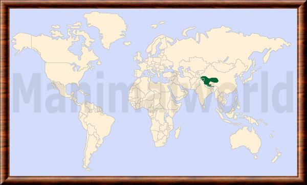 Equus kiang distribution