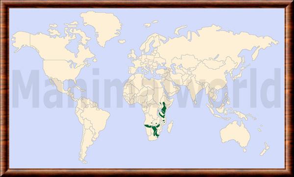 Equus quagga carte de repartition