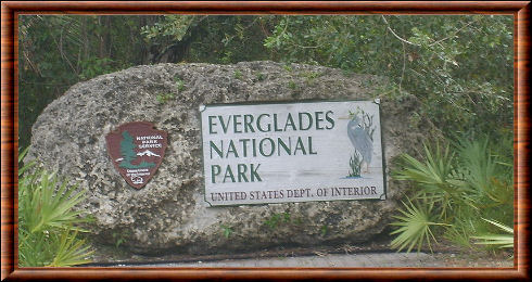 Everglades