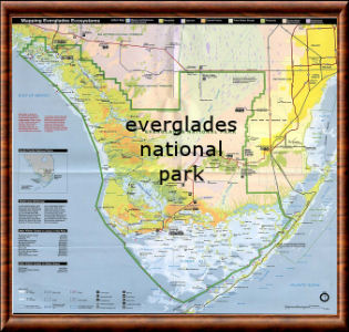 Everglades carte