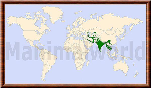 Felis chaus repartition