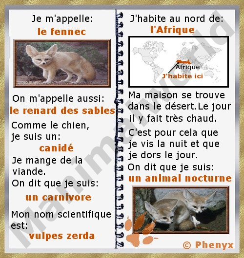 Fennec fiche pour enfants