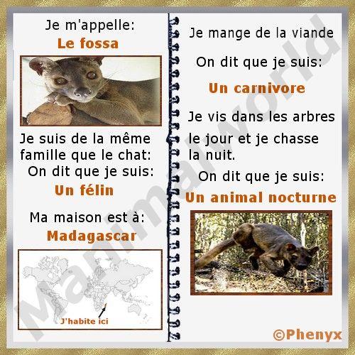 Fossa fiche pour enfants