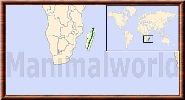 Galidia elegans repartition