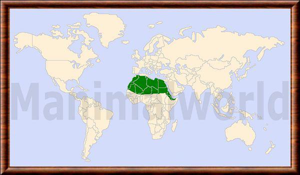 Gazella dorcas repartition