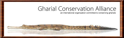 Gharial Conservation Alliance